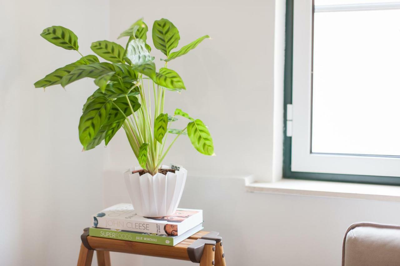 Martim Moniz Studio Apartments - By Lu Holidays Lisboa Eksteriør bilde